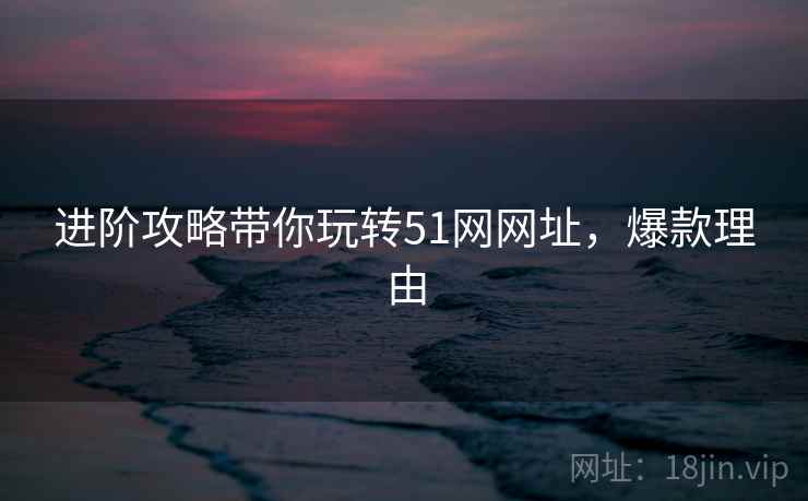 进阶攻略带你玩转51网网址，爆款理由