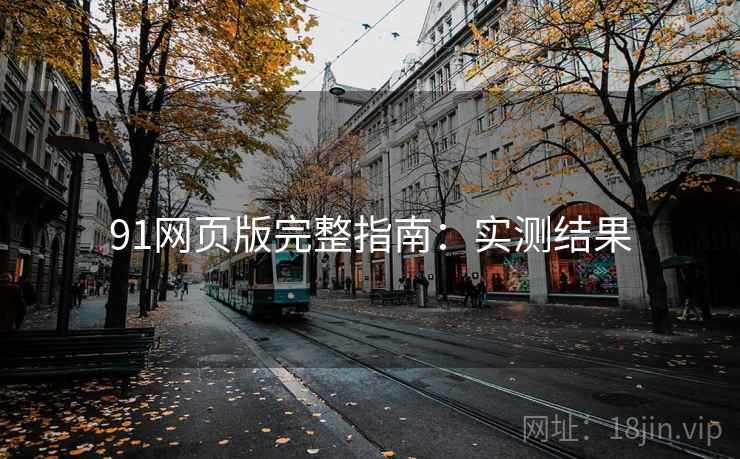 91网页版完整指南：实测结果