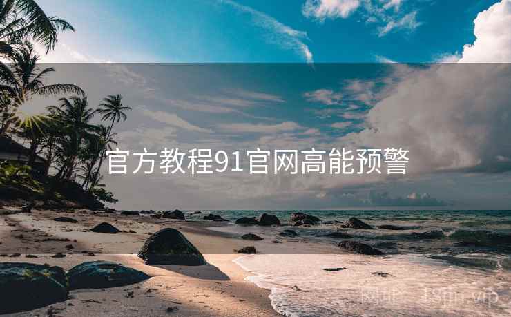 官方教程91官网高能预警