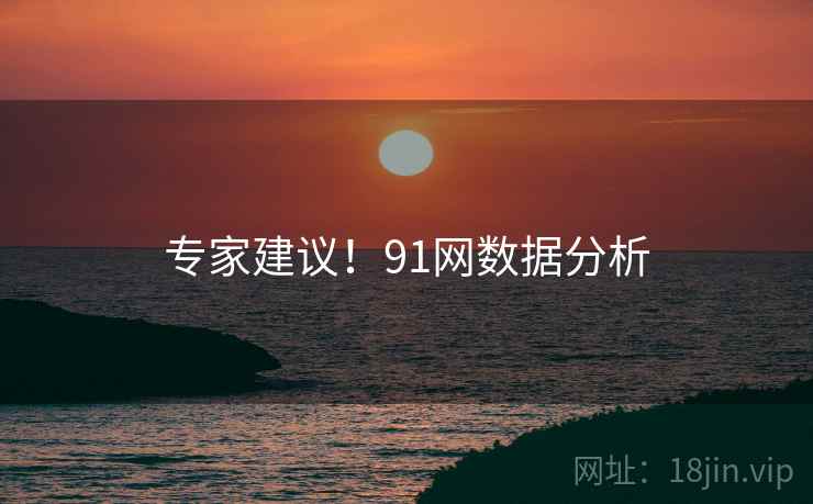 专家建议！91网数据分析