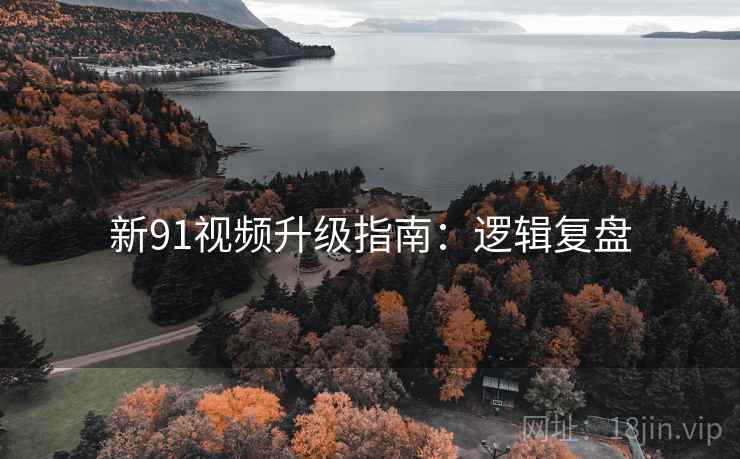 新91视频升级指南：逻辑复盘