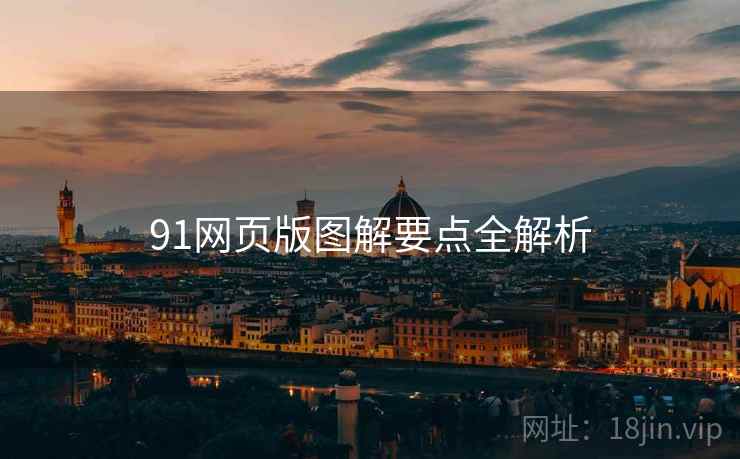 91网页版图解要点全解析