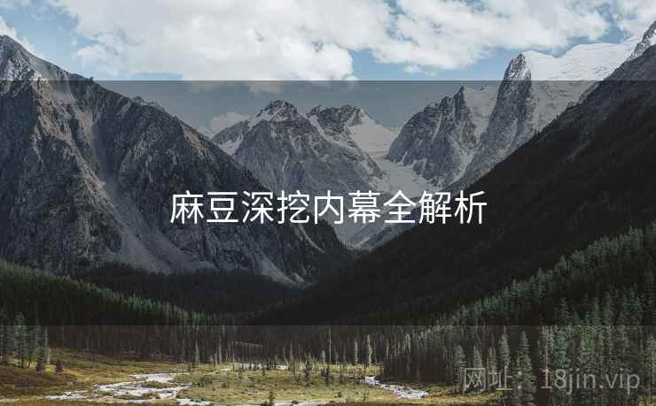 麻豆深挖内幕全解析