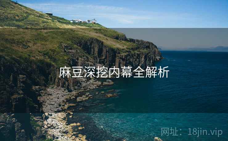 麻豆深挖内幕全解析