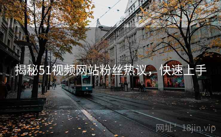揭秘51视频网站粉丝热议，快速上手