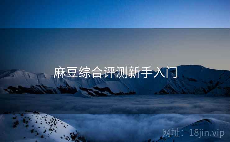 麻豆综合评测新手入门