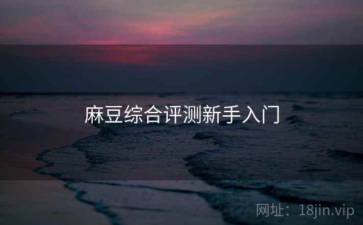 麻豆综合评测新手入门