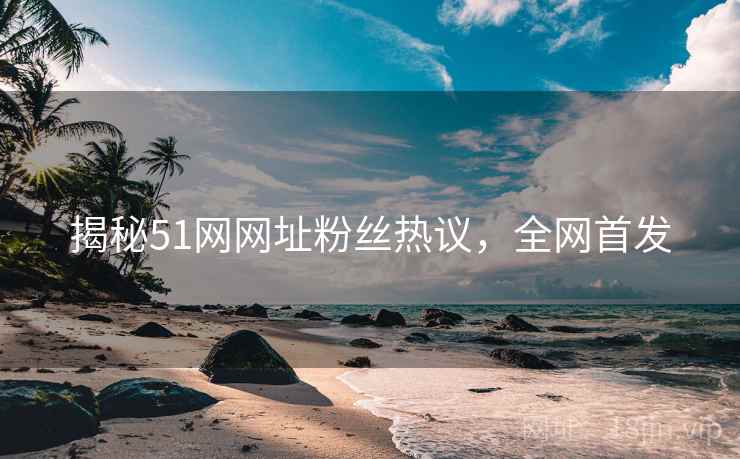 揭秘51网网址粉丝热议，全网首发