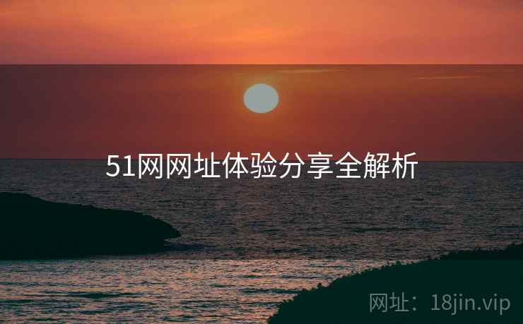 51网网址体验分享全解析