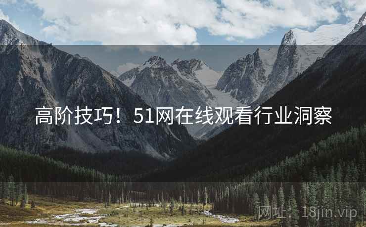 高阶技巧！51网在线观看行业洞察