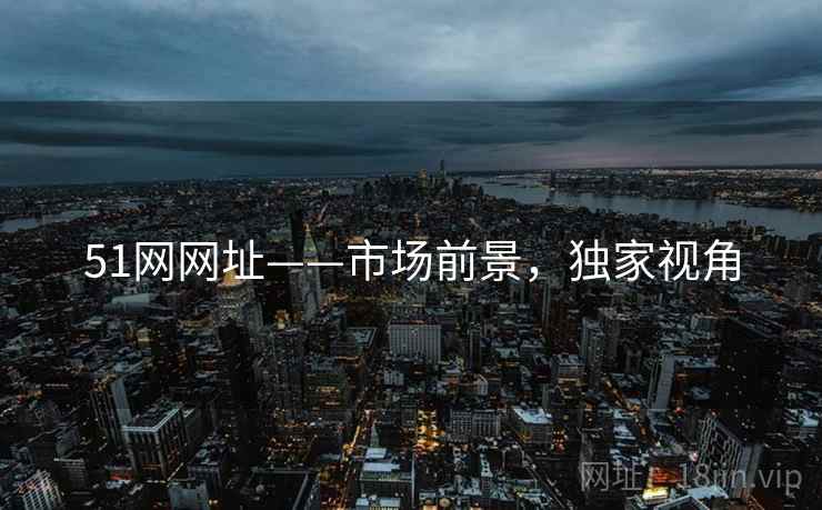 51网网址——市场前景，独家视角