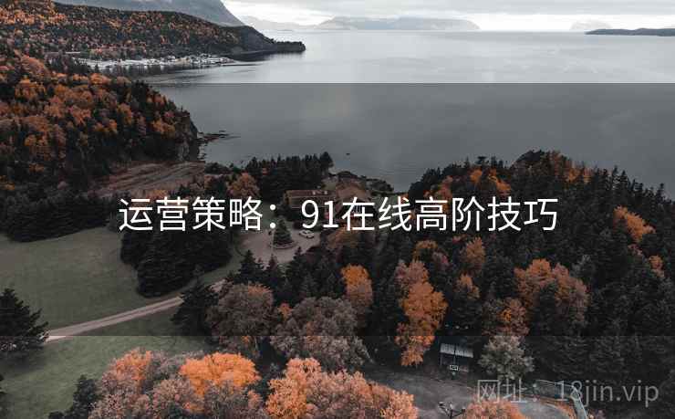 运营策略：91在线高阶技巧