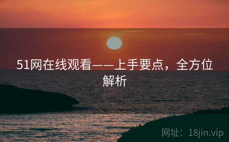 51网在线观看——上手要点，全方位解析