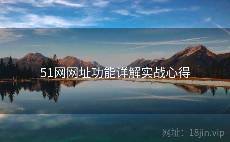 51网网址功能详解实战心得