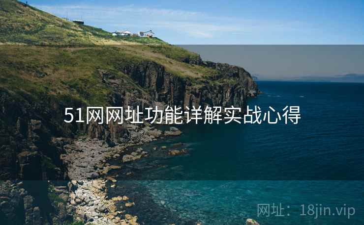 51网网址功能详解实战心得