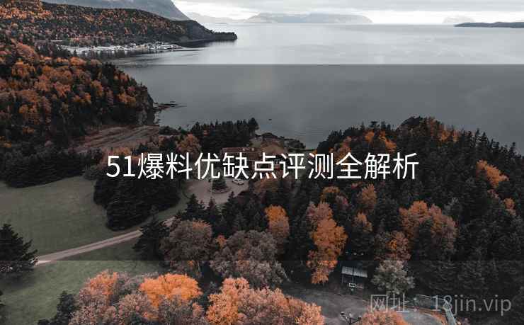 51爆料优缺点评测全解析