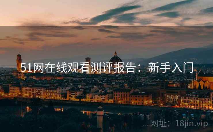 51网在线观看测评报告：新手入门