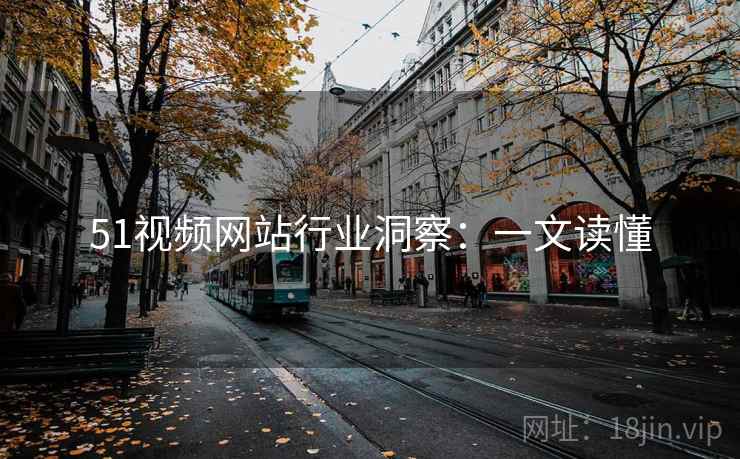 51视频网站行业洞察：一文读懂