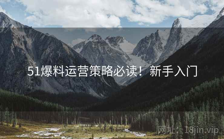51爆料运营策略必读！新手入门