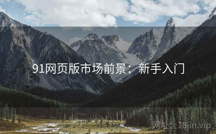 91网页版市场前景：新手入门