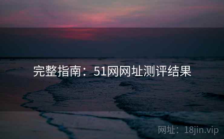 完整指南：51网网址测评结果