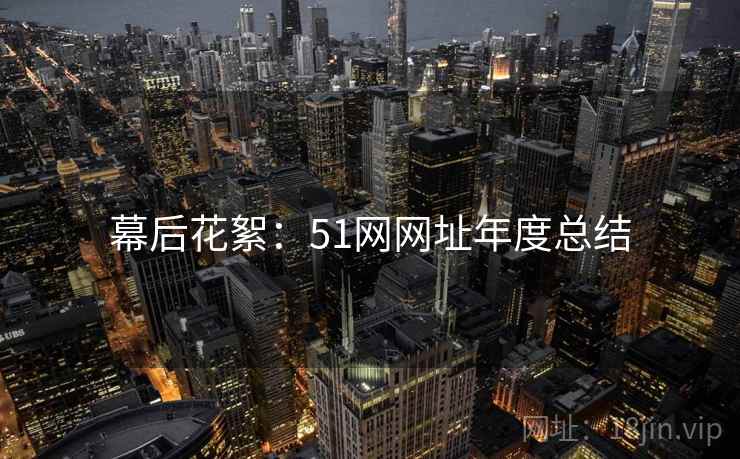 幕后花絮：51网网址年度总结