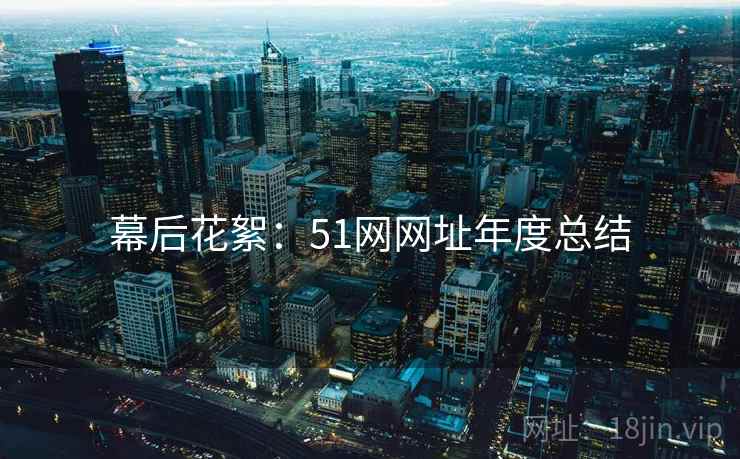 幕后花絮：51网网址年度总结