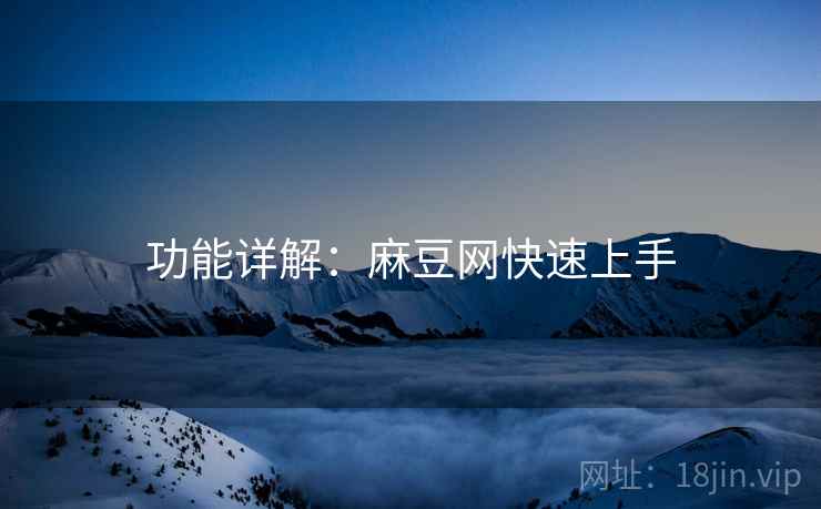功能详解：麻豆网快速上手